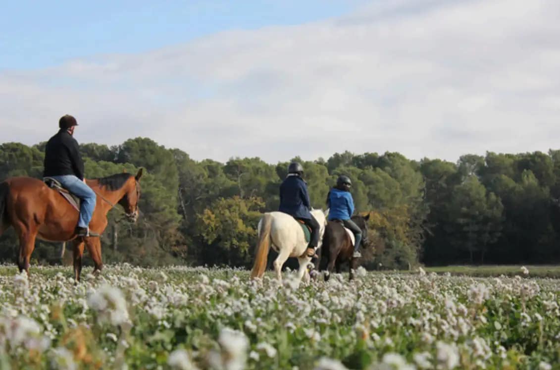 Ruta a caballo para una experiencia romántica y exclusiva