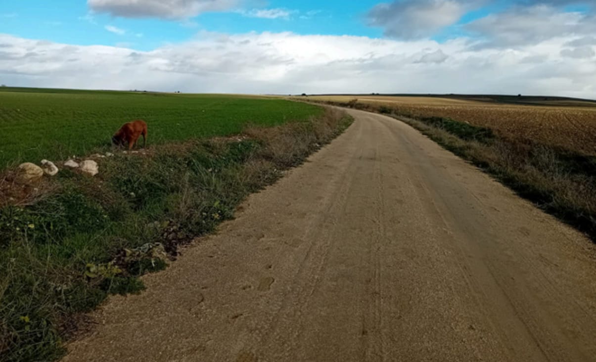 Ruta de senderismo durante una escapada rural romántica